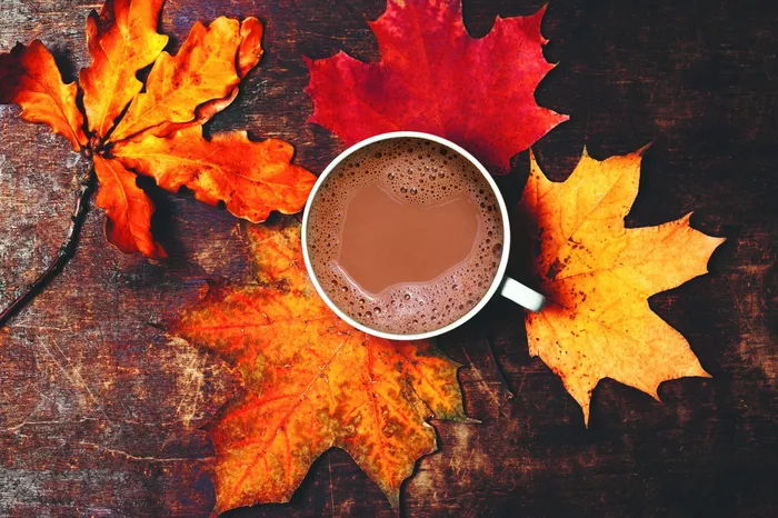 Earrings Maple Cocoa Hot Chocolate Gourmet du Village