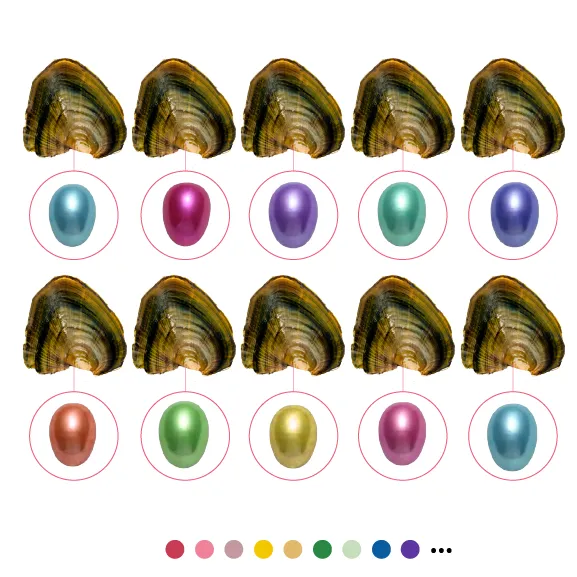 Earrings YR01SM1 Freshwater Oyster Rice Shaped Pearls Earrings YR01SM1 Freshwater Oyster Rice Shaped Pearls