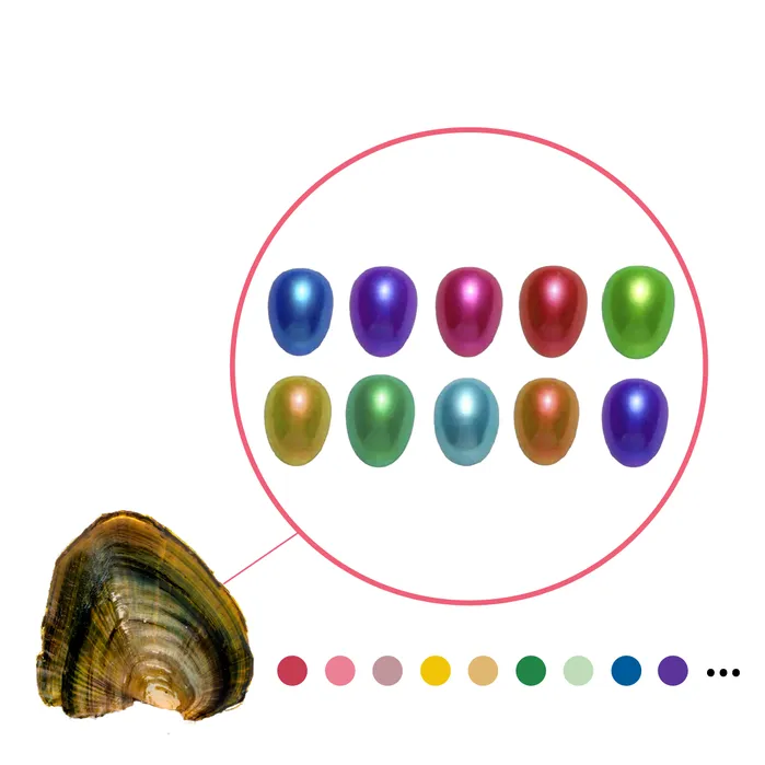 Earrings YR01SM1 Freshwater Oyster Rice Shaped Pearls Earrings YR01SM1 Freshwater Oyster Rice Shaped Pearls