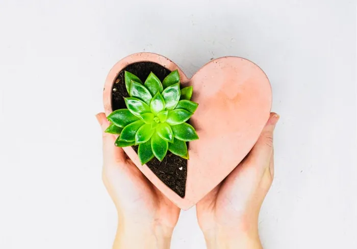 Necklaces Splash Heart Shaped Planter Pot