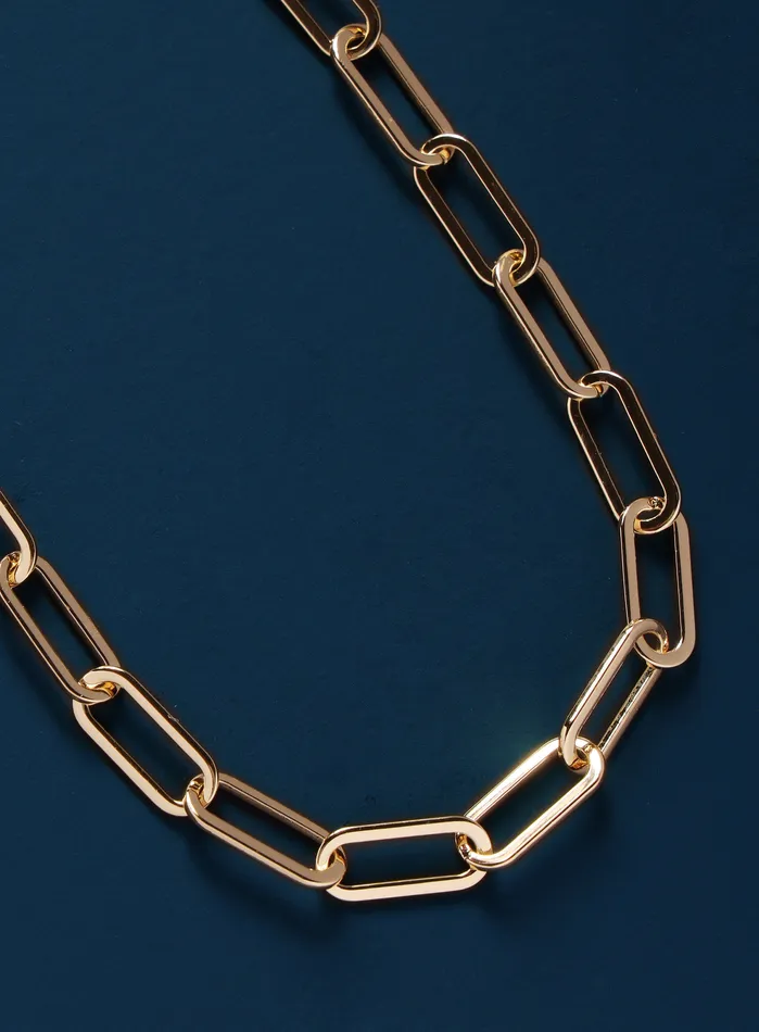 WE ARE ALL SMITH Mens Jewelry Clothing Necklaces Large Clip 14k plated over 316L stainless steel chain